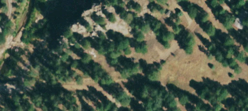 Pinewood Springs Buildable Lot