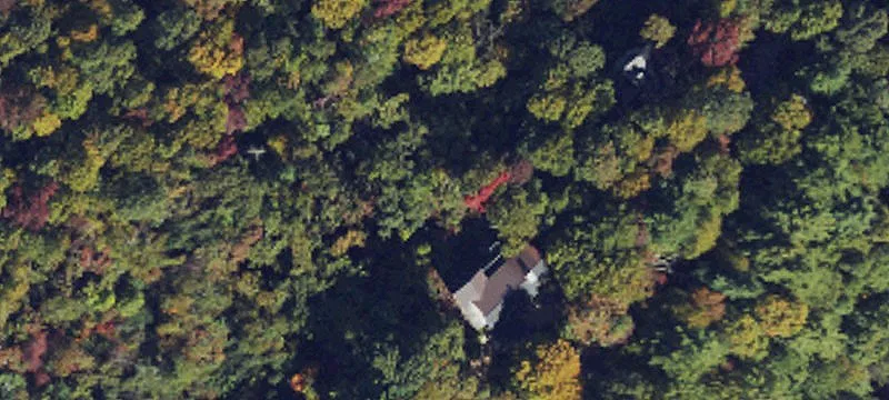 Serene Lot Adjoining National Forest