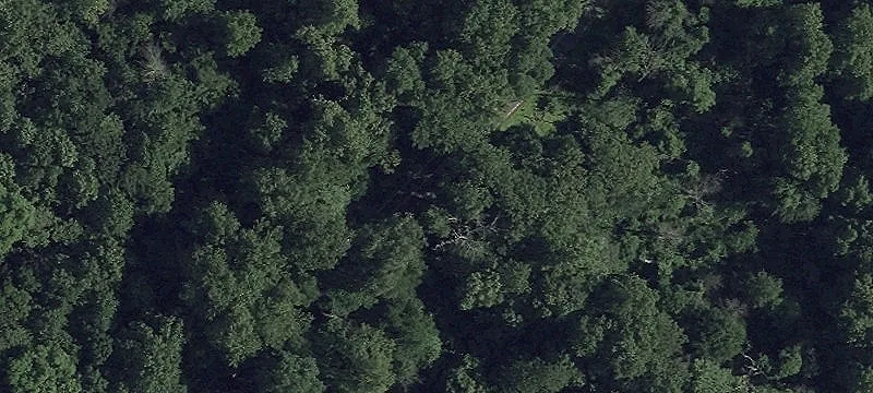 Cleared Land in Conowingo, Maryland