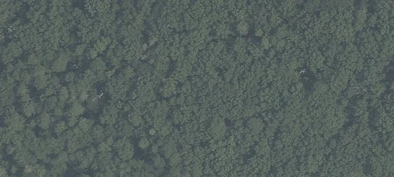 4-Acre Wooded Land Parcel