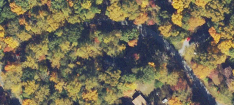 Wooded Lot in Gated Community