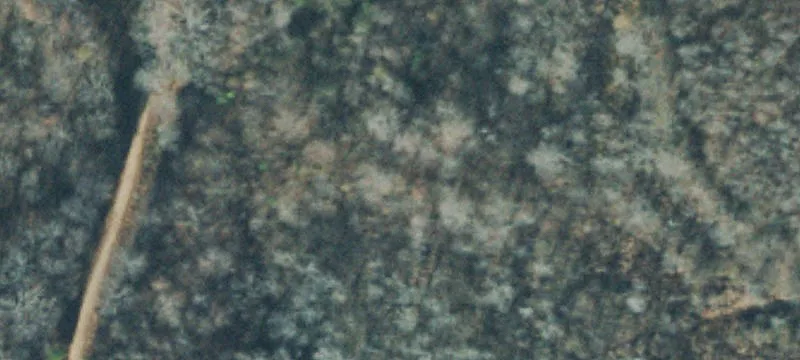 Land Near Buffalo River