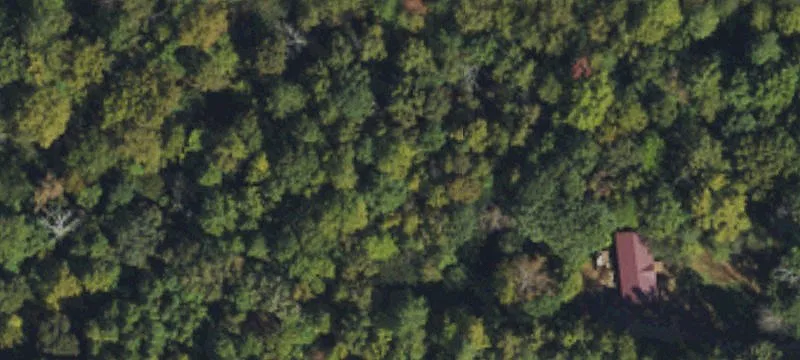 3.77-Acre Wooded Retreat