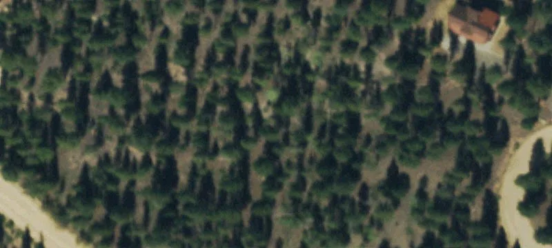 Residential Lot Near National Forest