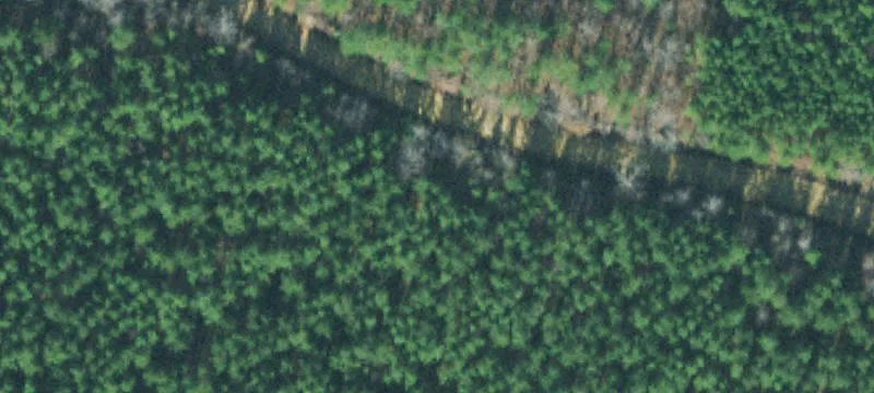 16.5 Acres in Hohenwald, TN