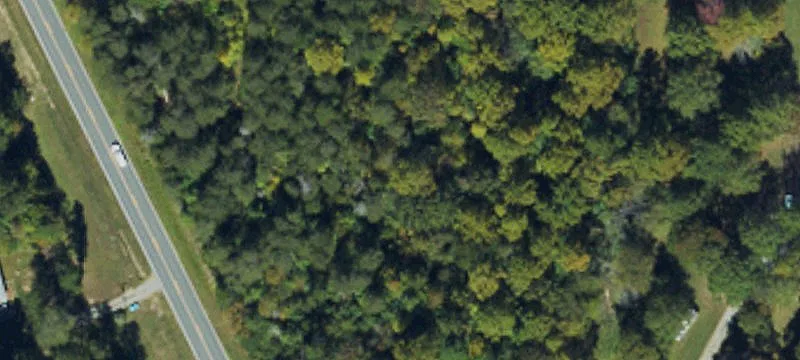 Greensboro/Climax Area Acreage
