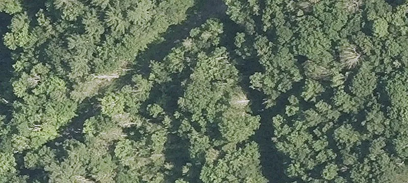 Commercial Land Near State Forest