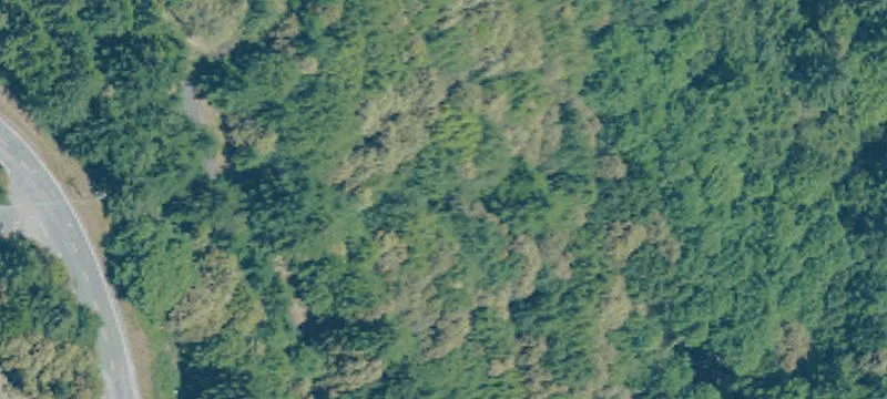 Residential Land in Shelter Cove