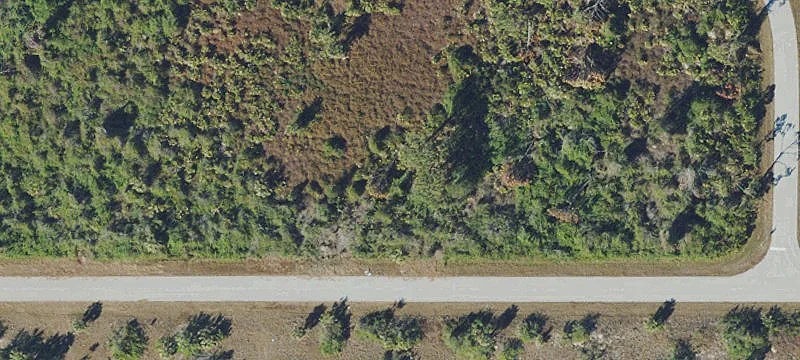 Residential Lot in Englewood East