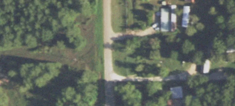 Wooded Land in Growing Area