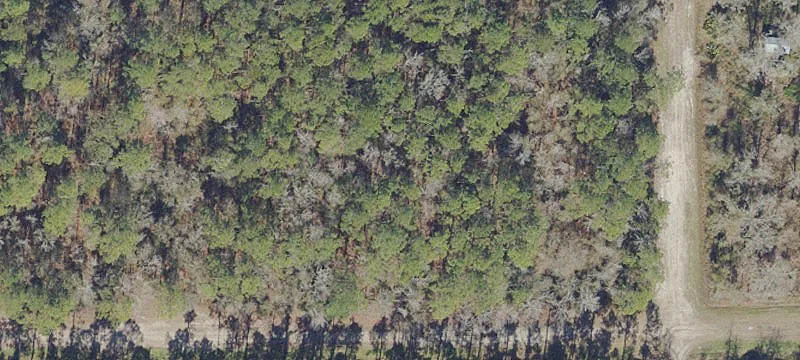 Acre of Land Near St.
