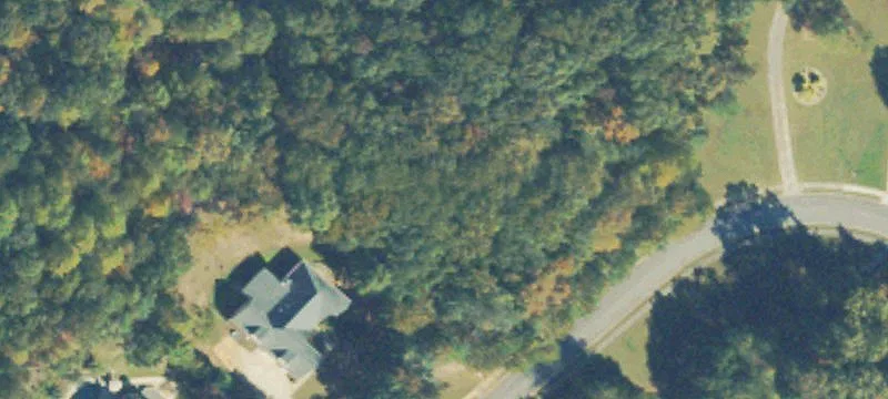 Wooded Lot in Flowery Branch