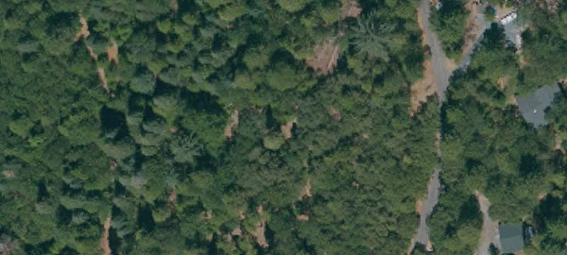 Twain Harte Land for Sale