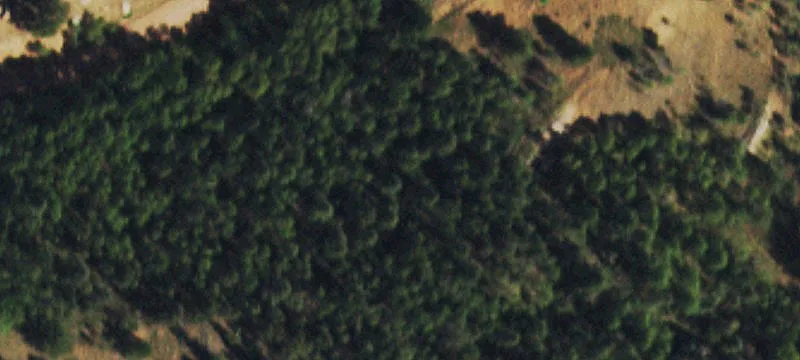 Mountain Lot in Cripple Creek