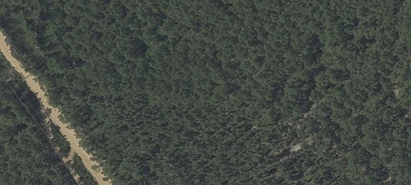 Residential Lot in Forked River