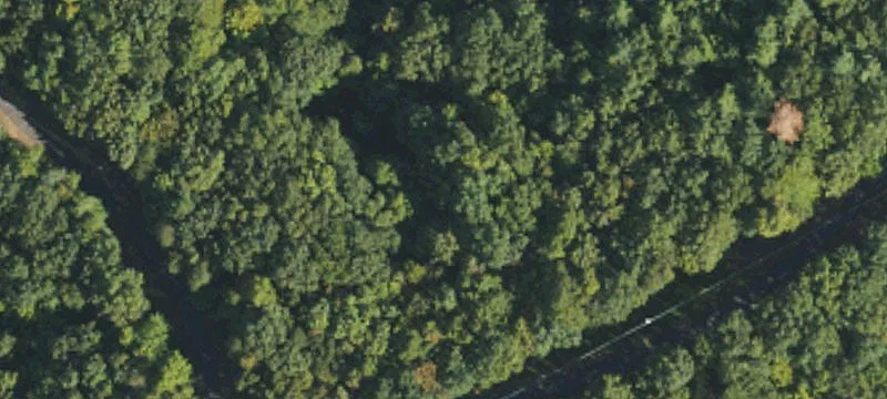 Wooded Lot in Gated Community
