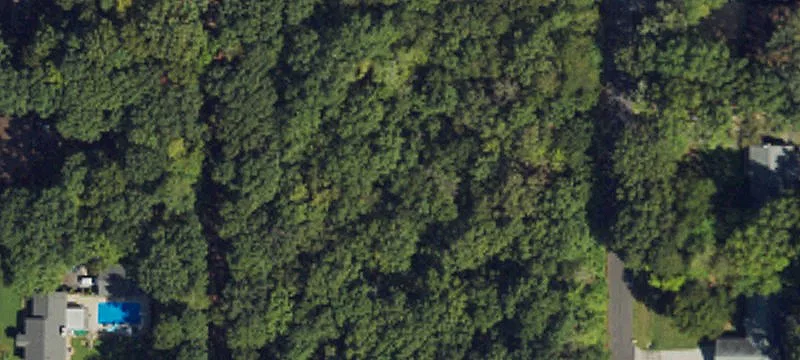 Wooded Lot in North Durham