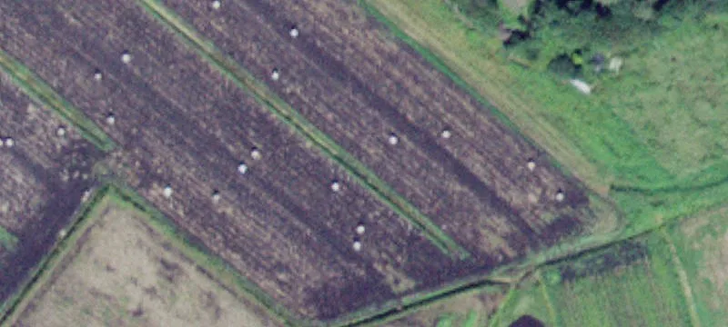 Level Land in Black Dirt
