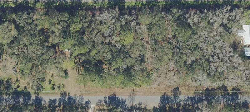 Flagler Estates Vacant Land