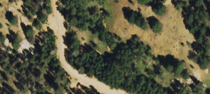 Treelined Lot in Mountain Community