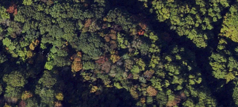 Land with Hiking Trail Access