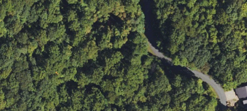 Residential Land Bordering National Forest