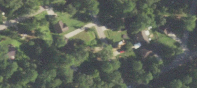 Wooded Lot in Royal Forest