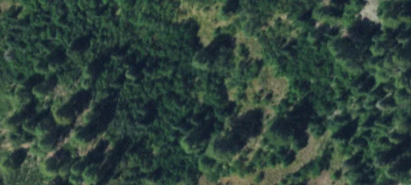 Treed Land Near Twin Lakes