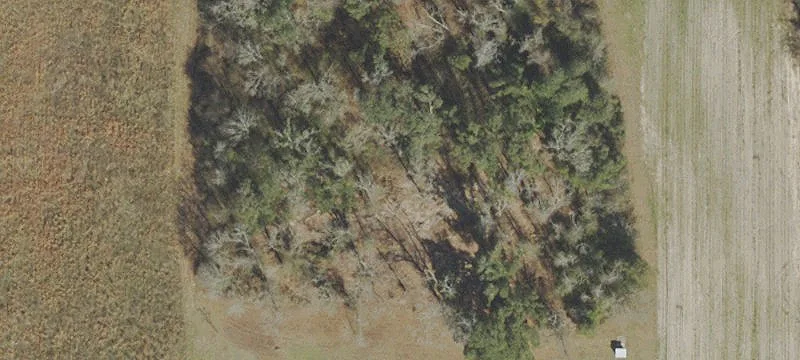 5 Acres Near Marianna, FL