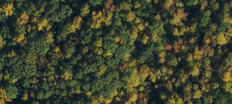 Residential Land in Garner