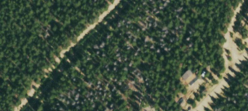Colorado Mountain Land Opportunity