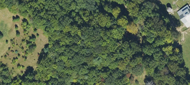 Gently Sloping Wooded Lots