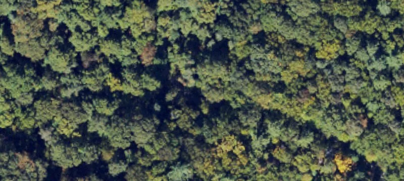 Residential Land Near Blue Ridge
