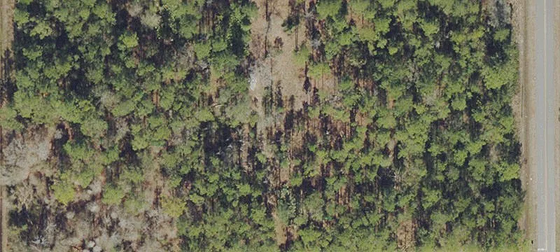 Wooded Lot in Flagler Estates