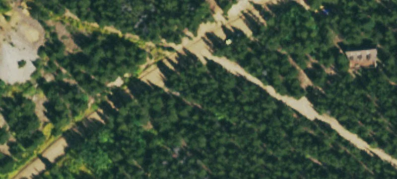 Wooded Lot Near Idaho Springs