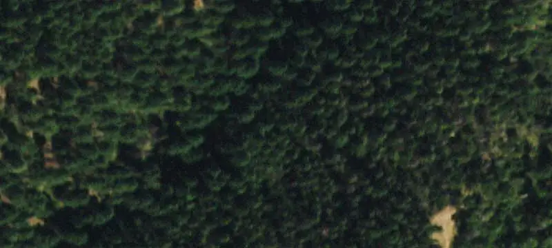 Larkspur Wooded Land Parcel