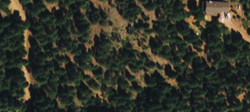 Larkspur Land with Mountain Views