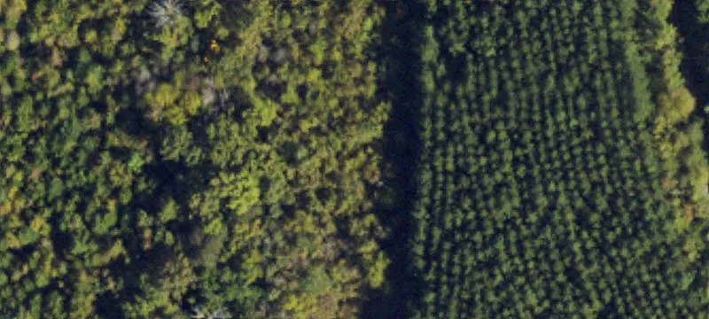 Residential Land with Development Potential