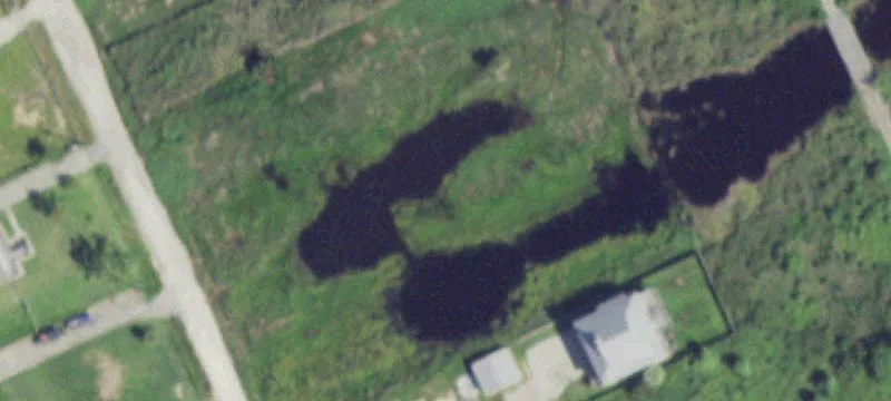 Undeveloped Land with Wetlands