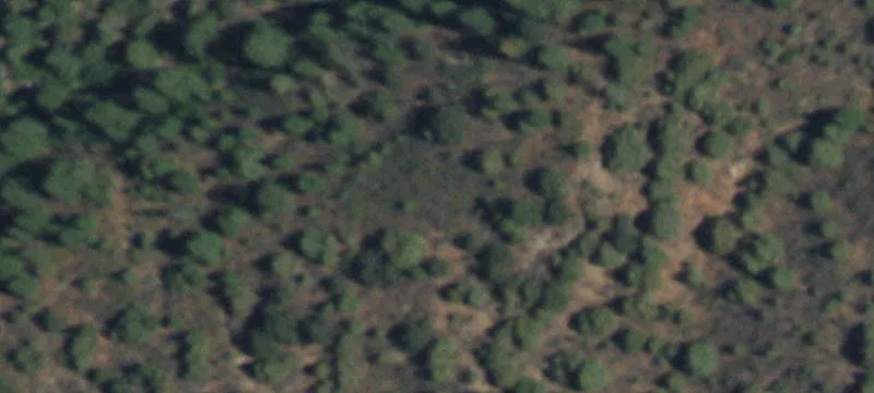 Flat, Wooded Lot in Pecos