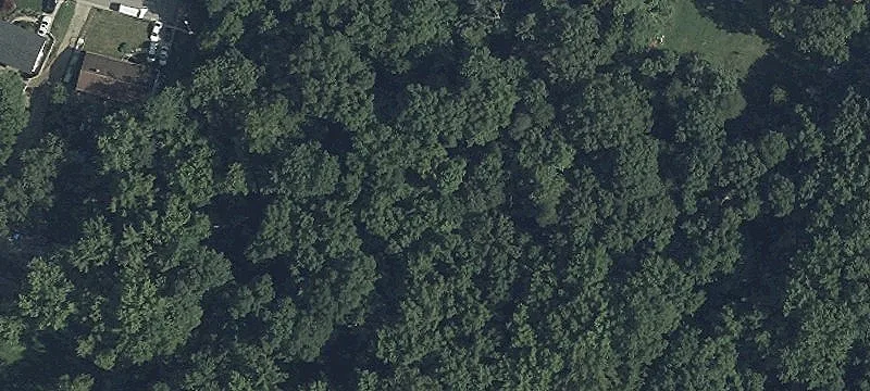 Land in Forest Heights Area