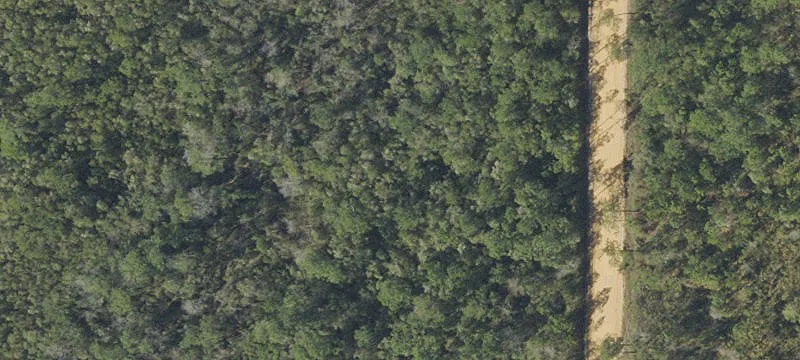 20 Acres Near Hwy 231