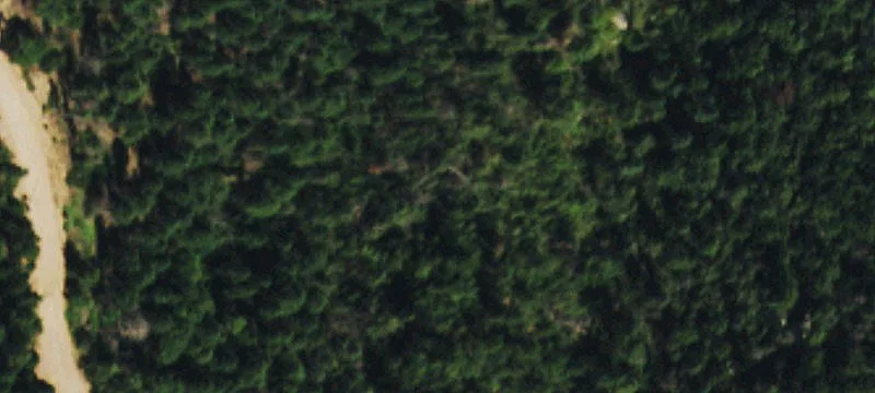 Larkspur Ready-to-Build Mountain Lot