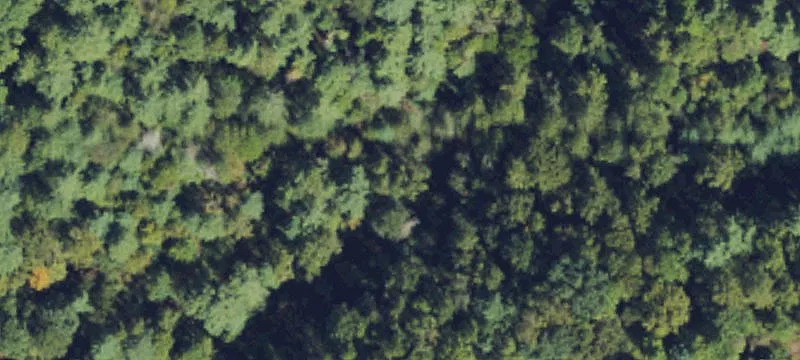 14.87 Acres of Mountain Living