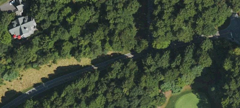 Wooded Lot in Champion Hills