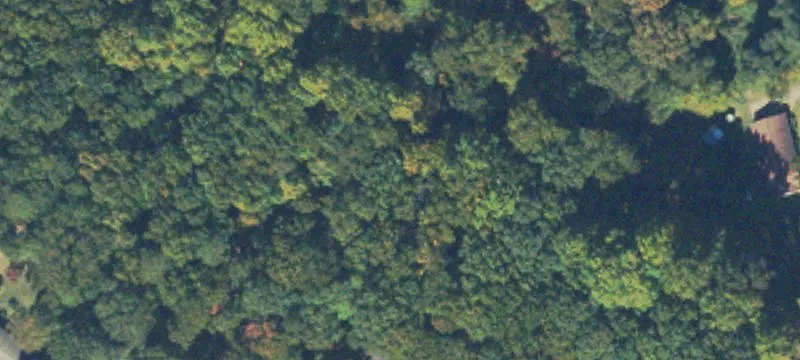 12.41 Acres Near Gainesville