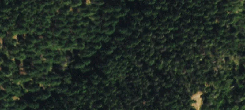 Wooded Land Parcel For Sale