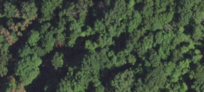 Wooded Lots in Established Community