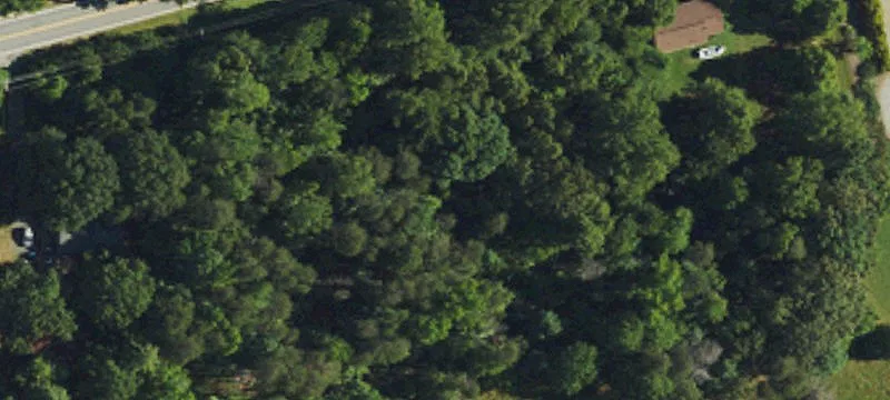 2.60 Acre Wooded Lot