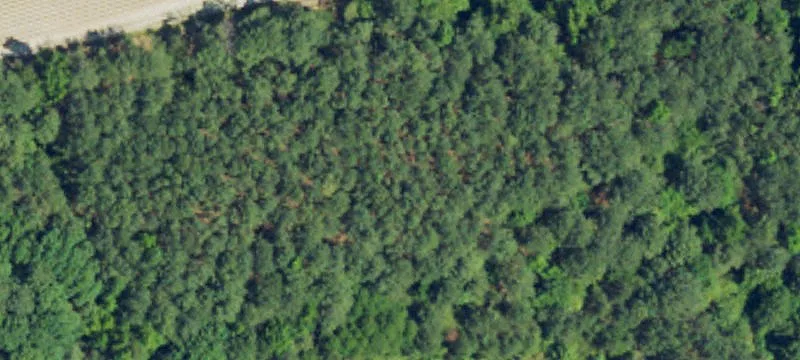 Residential Lot in Wake County